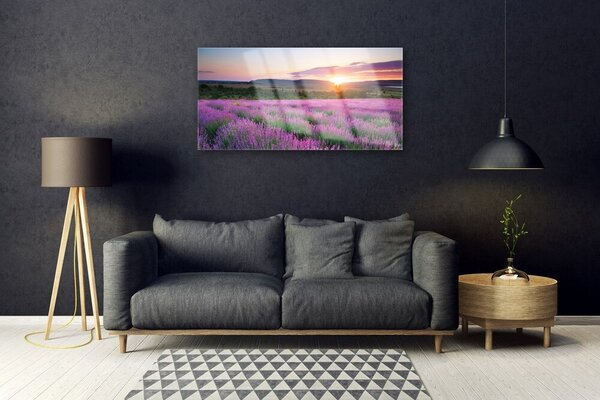 Quadro in vetro Campi di lavanda Prato Ovest 100x50 cm 2 appendini