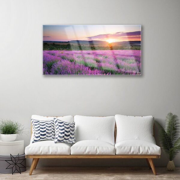 Quadro in vetro Campi di lavanda Prato Ovest 100x50 cm 2 appendini