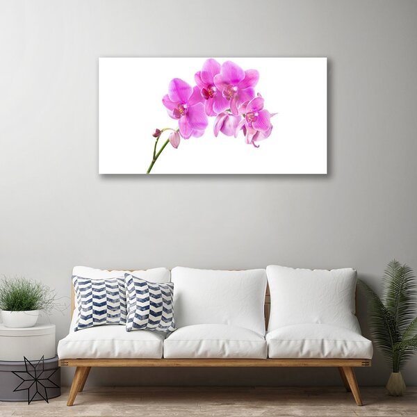 Quadro vetro Fiore di orchidea 100x50 cm 2 appendini