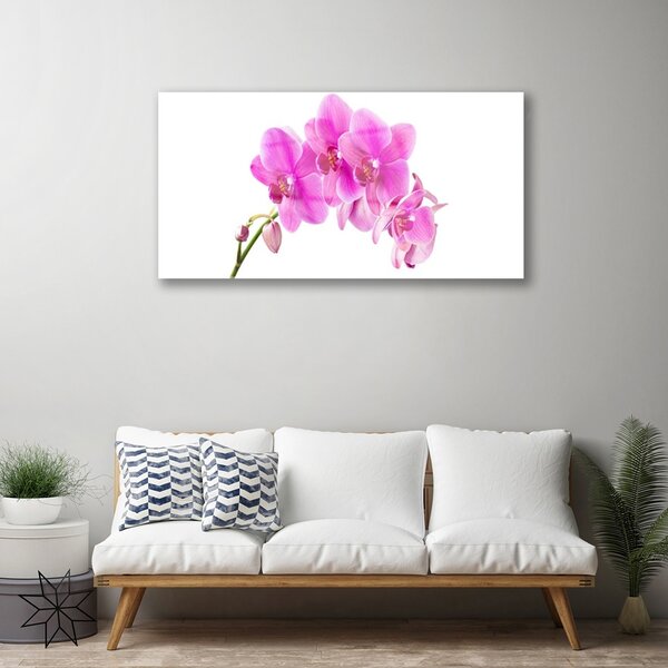Quadro vetro Fiore di orchidea 100x50 cm 2 appendini
