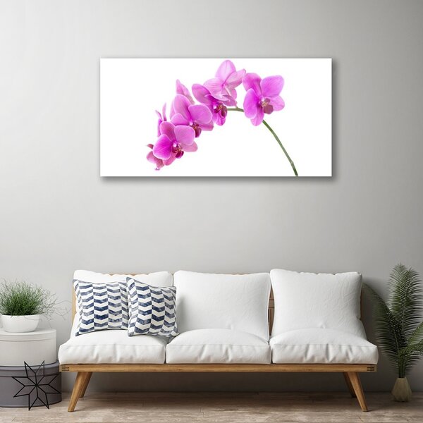 Quadro su vetro Fiore di orchidea 100x50 cm 2 appendini