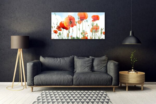 Quadro di vetro Fiori Papaveri Prato Campo Natura 100x50 cm 2 appendini