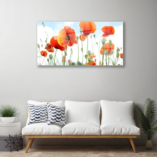 Quadro di vetro Fiori Papaveri Prato Campo Natura 100x50 cm 2 appendini