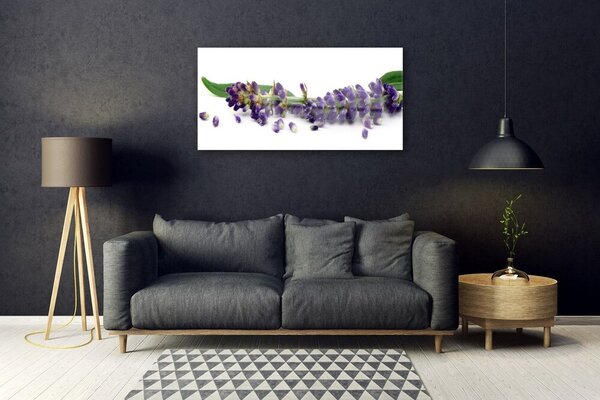 Quadro su vetro Natura morta alla lavanda 100x50 cm 2 appendini