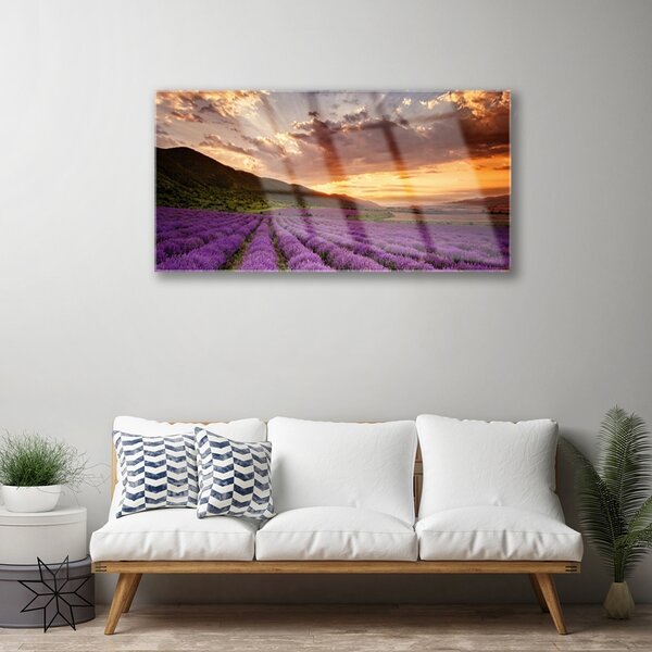 Quadro di vetro Campo di lavanda al tramonto 100x50 cm 2 appendini