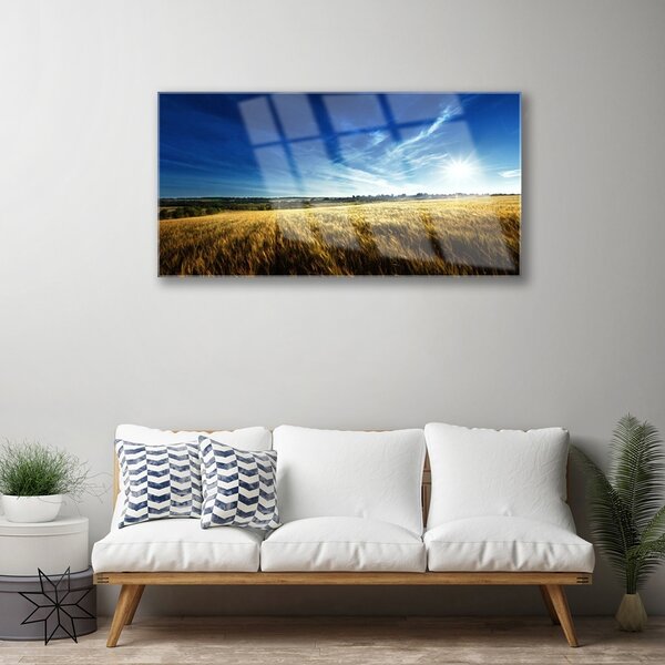 Quadro su vetro Campo di grano Sole Paesaggio 100x50 cm 2 appendini