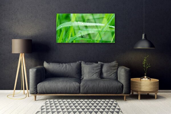 Quadro in vetro Gocce di foglie di natura rosata 100x50 cm 2 appendini