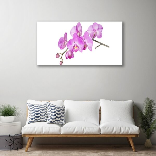 Quadro vetro Orchidea Fiori di orchidea 100x50 cm 2 appendini
