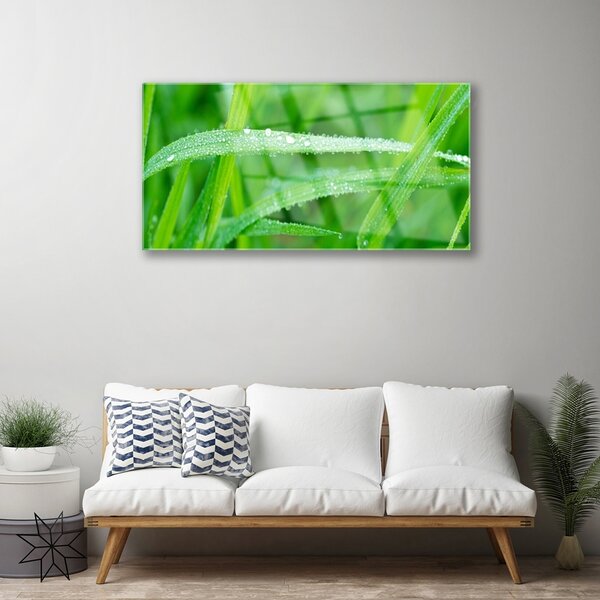 Quadro in vetro Gocce di foglie di natura rosata 100x50 cm 2 appendini
