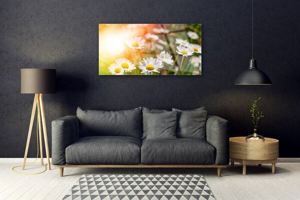 Quadro vetro Fiori di margherita Raggi 100x50 cm 2 appendini