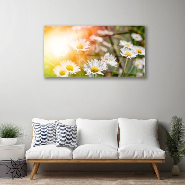 Quadro vetro Fiori di margherita Raggi 100x50 cm 2 appendini