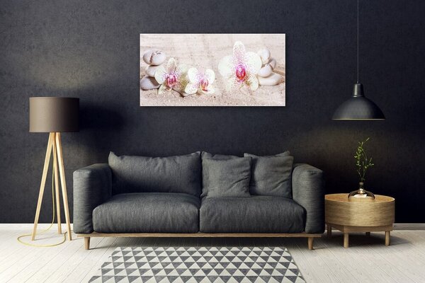 Quadro in vetro Orchidea di sabbia 100x50 cm 2 appendini