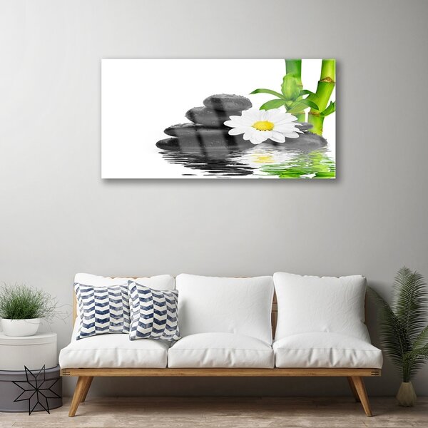 Quadro su vetro Pietre Zen Steli di bambù 100x50 cm 2 appendini