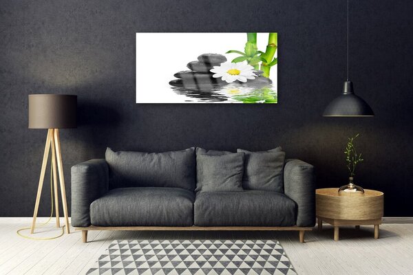 Quadro su vetro Pietre Zen Steli di bambù 100x50 cm 2 appendini