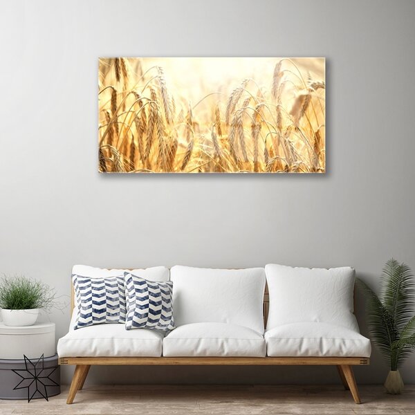 Quadro in vetro Orecchie da campo ai cereali Natura 100x50 cm 2 appendini