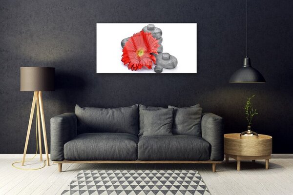 Quadro in vetro Fiori di gerbera rossi 100x50 cm 2 appendini
