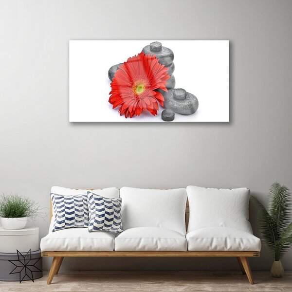 Quadro in vetro Fiori di gerbera rossi 100x50 cm 2 appendini
