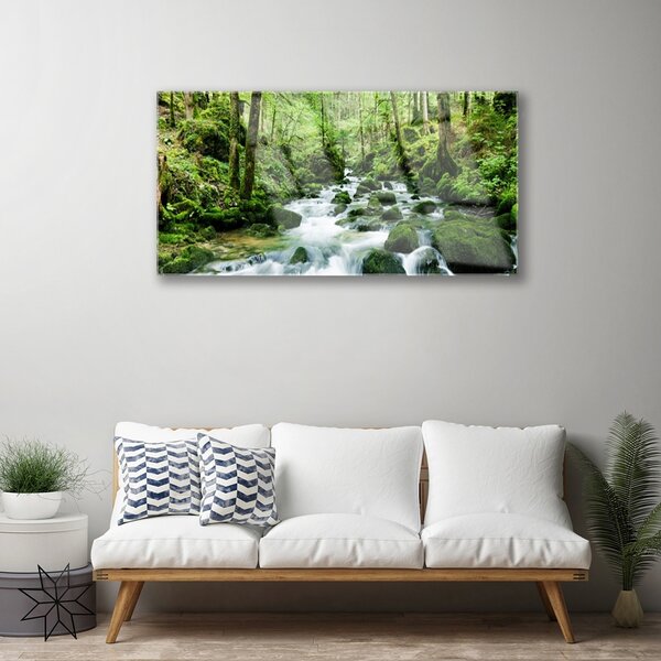 Quadro su vetro Foresta Ruscello Cascate Fiume 100x50 cm 2 appendini
