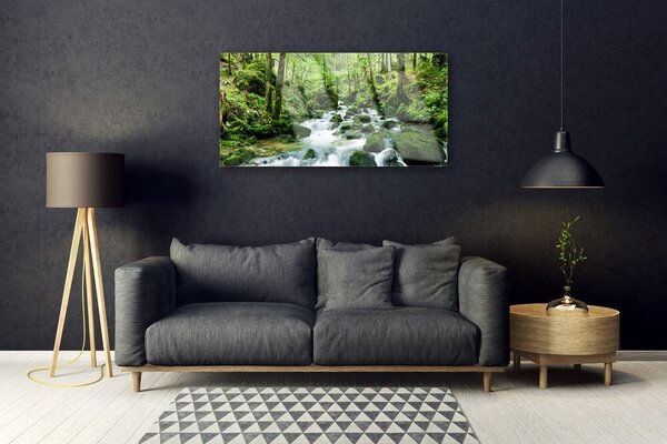 Quadro su vetro Foresta Ruscello Cascate Fiume 100x50 cm 2 appendini