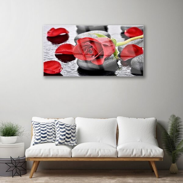 Quadro in vetro Fiore di rosa rossa 100x50 cm 2 appendini