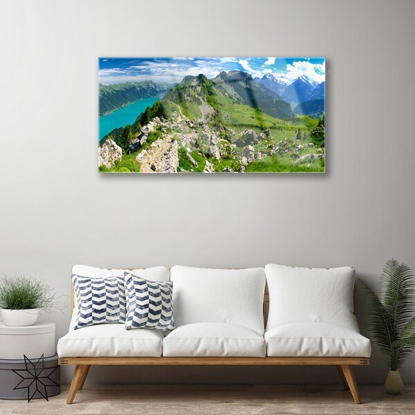 Quadro in vetro Prato Montagne Paesaggio Natura 100x50 cm 2 appendini