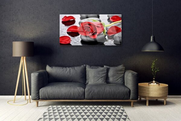 Quadro in vetro Fiore di rosa rossa 100x50 cm 2 appendini