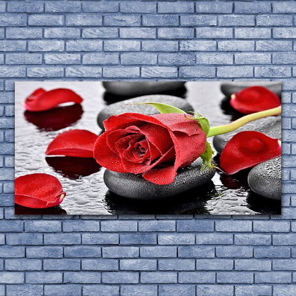 Quadro su tela Fiore di rosa rossa 100x50 cm