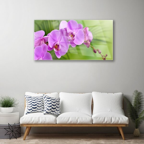 Quadro in vetro Orchidea Fiori di orchidea 100x50 cm 2 appendini