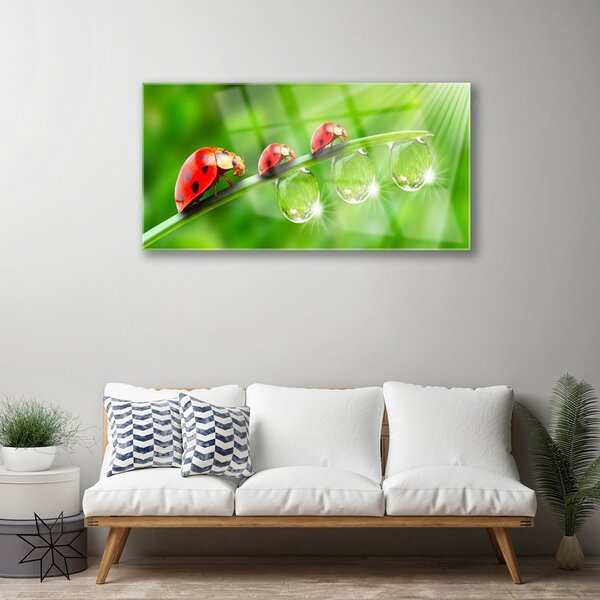 Quadro su vetro Coccinelle su una foglia 100x50 cm 2 appendini