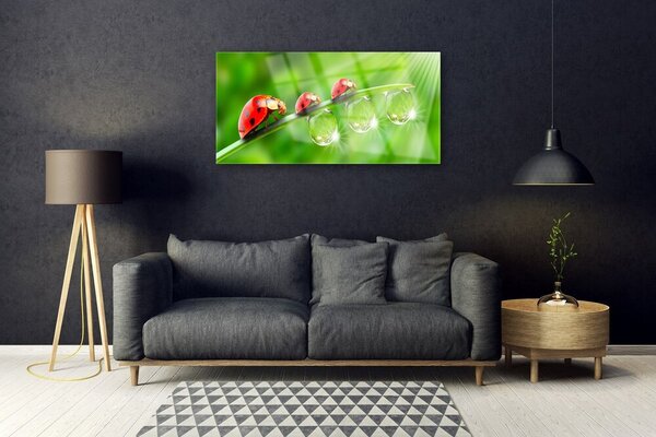 Quadro su vetro Coccinelle su una foglia 100x50 cm 2 appendini