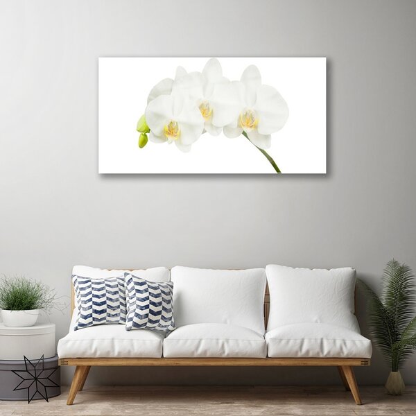 Quadro in vetro Steli di fiori di orchidea Natura 100x50 cm 2 appendini