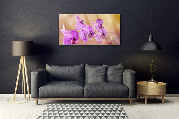 Quadro su vetro Steli di fiori di orchidea Natura 100x50 cm 2 appendini