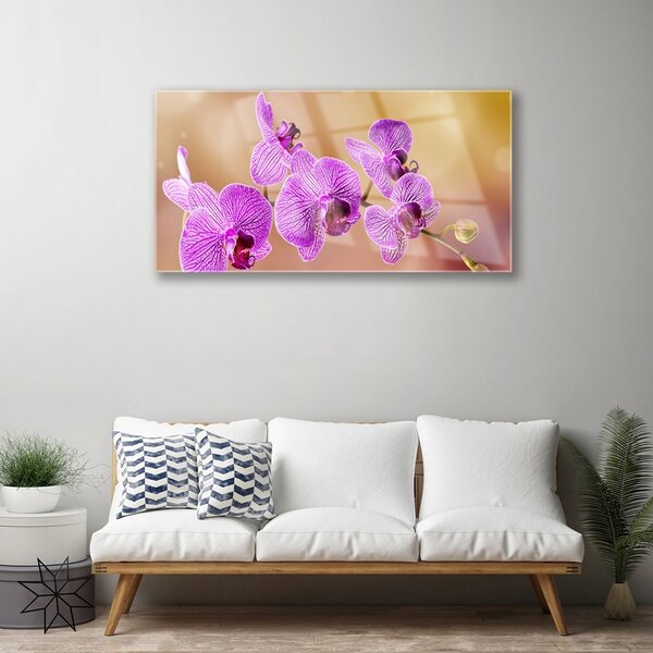 Quadro su vetro Steli di fiori di orchidea Natura 100x50 cm 2 appendini
