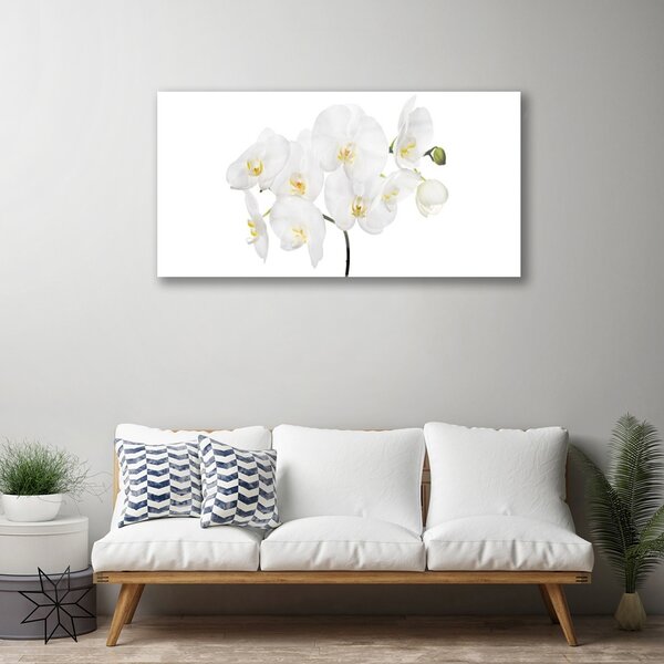 Quadro in vetro Fiori di orchidea bianchi 100x50 cm 2 appendini