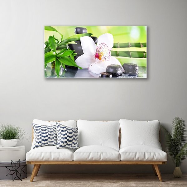 Quadro in vetro Foglie di bambù orchidea 100x50 cm 2 appendini