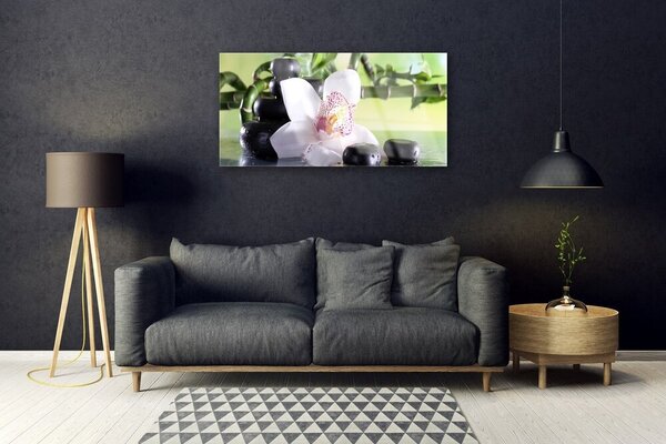 Quadro di vetro Pietre di orchidea Bambù 100x50 cm 2 appendini