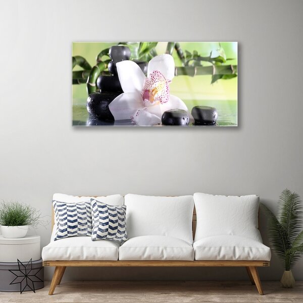 Quadro di vetro Pietre di orchidea Bambù 100x50 cm 2 appendini