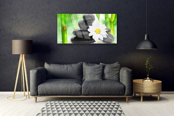 Quadro su vetro Fiore di bambù margherita 100x50 cm 2 appendini