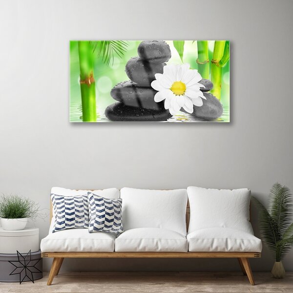 Quadro su vetro Fiore di bambù margherita 100x50 cm 2 appendini