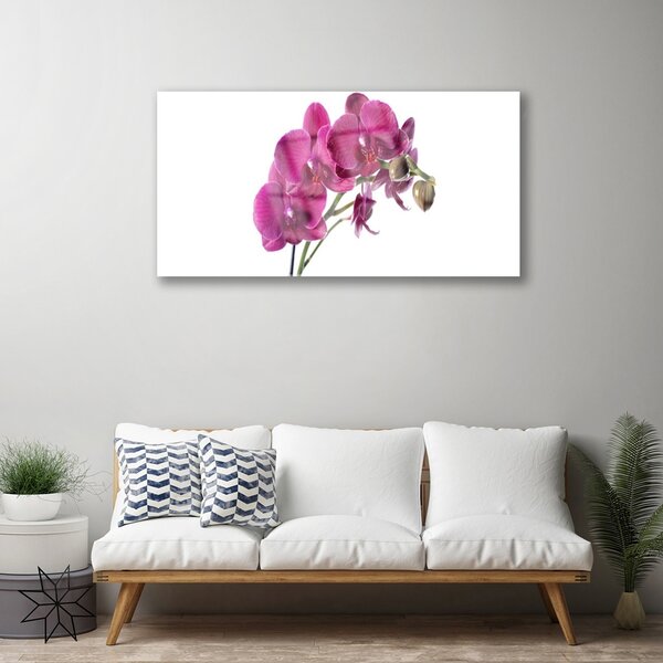 Quadro di vetro Orchidea Fiori della natura 100x50 cm 2 appendini