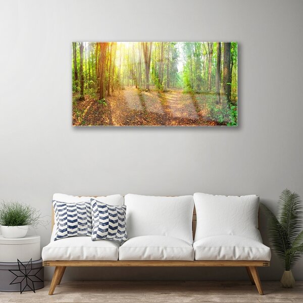 Quadro su vetro Sole Sentiero Natura Foresta 100x50 cm 2 appendini