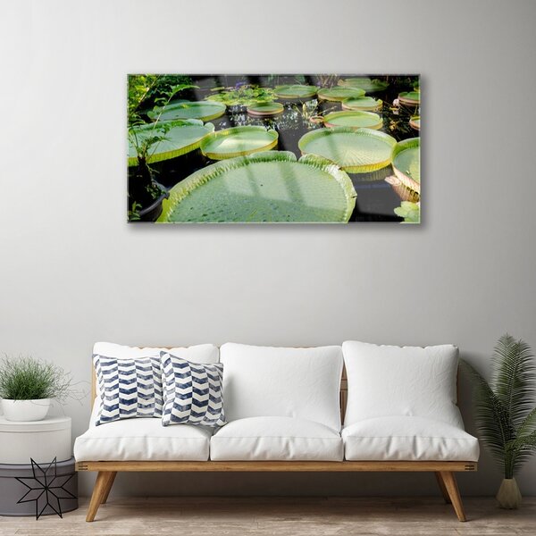 Quadro vetro Foglie Lago Natura 100x50 cm 2 appendini