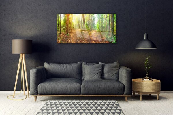 Quadro su vetro Sole Sentiero Natura Foresta 100x50 cm 2 appendini