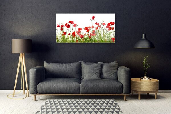 Quadro in vetro Papaveri dei prati Fiori della natura 100x50 cm 2 appendini