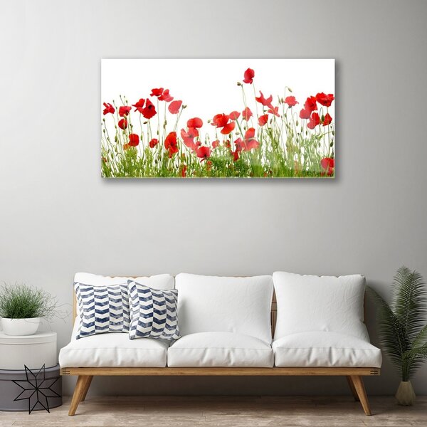 Quadro in vetro Papaveri dei prati Fiori della natura 100x50 cm 2 appendini