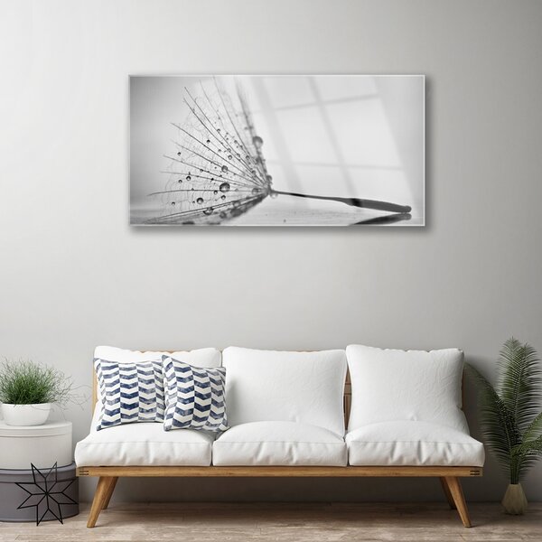 Quadro su vetro Semi di soffiaggio 100x50 cm 2 appendini