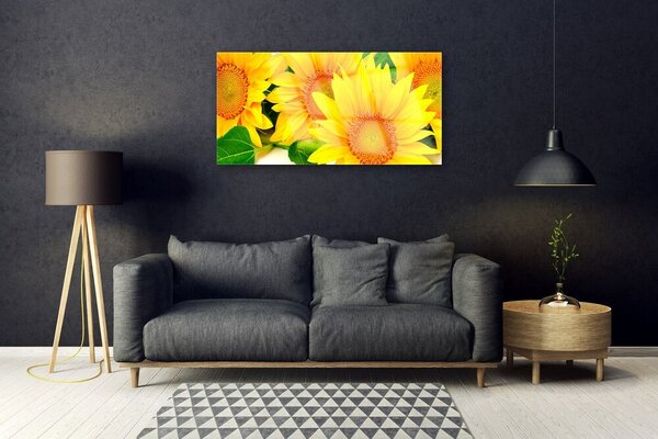 Quadro su vetro Girasole Fiore della natura 100x50 cm 2 appendini