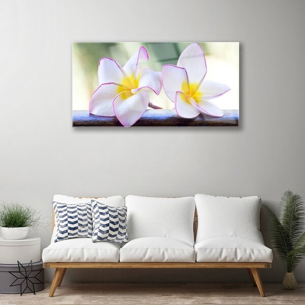 Quadro in vetro Fiori Petali Plumeria 100x50 cm 2 appendini