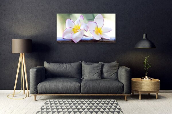 Quadro in vetro Fiori Petali Plumeria 100x50 cm 2 appendini
