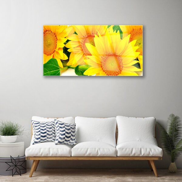 Quadro su vetro Girasole Fiore della natura 100x50 cm 2 appendini